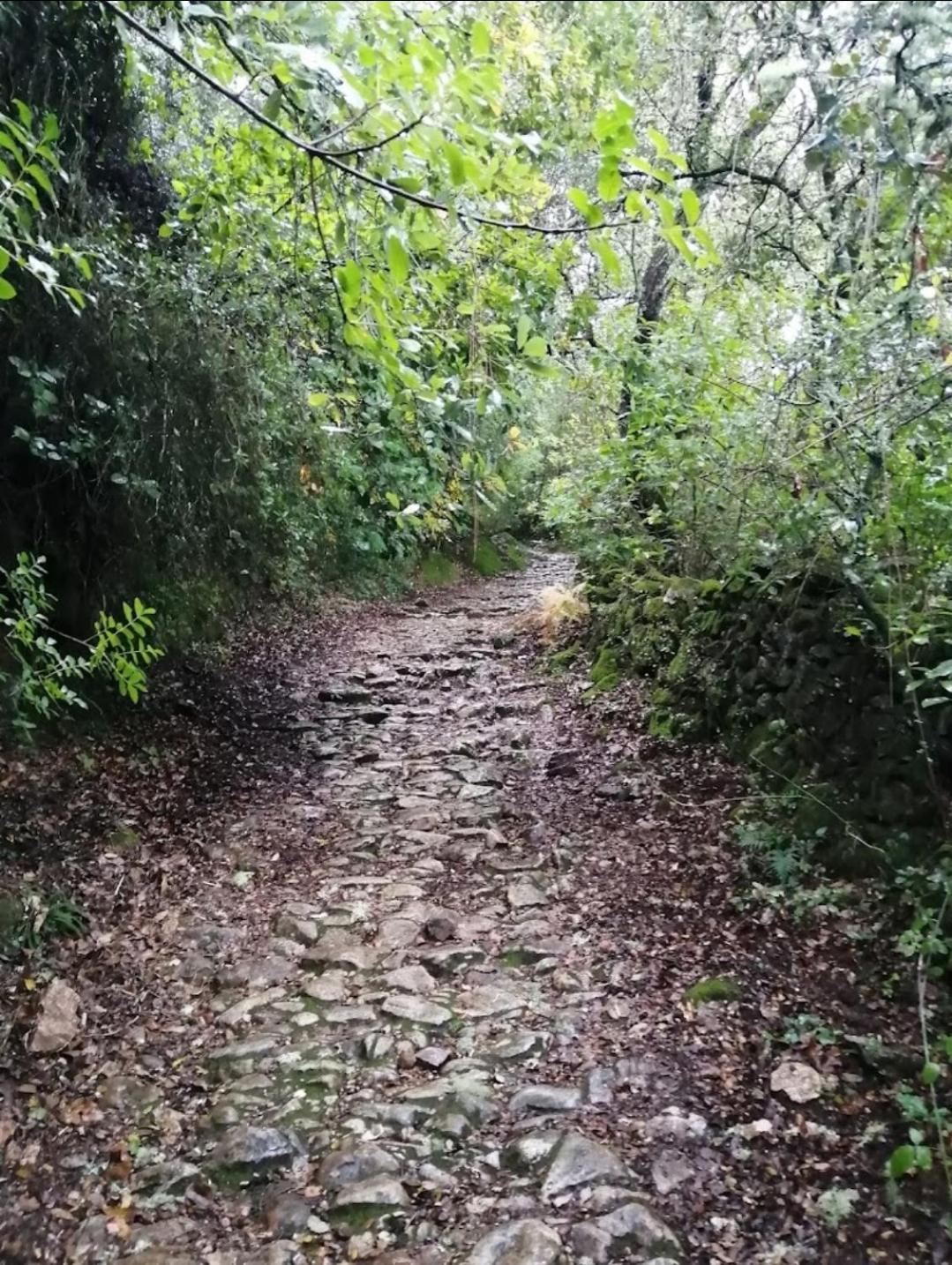El Pico De Aroche Villa Eksteriør bilde